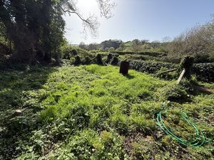 Additional Garden- click for photo gallery